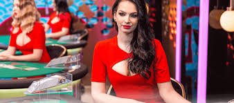 estrelabet bet